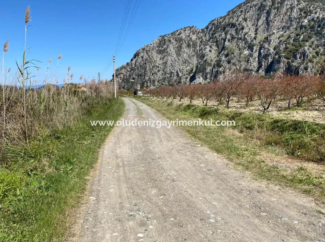 9310M2 Land For Sale In Dalyan