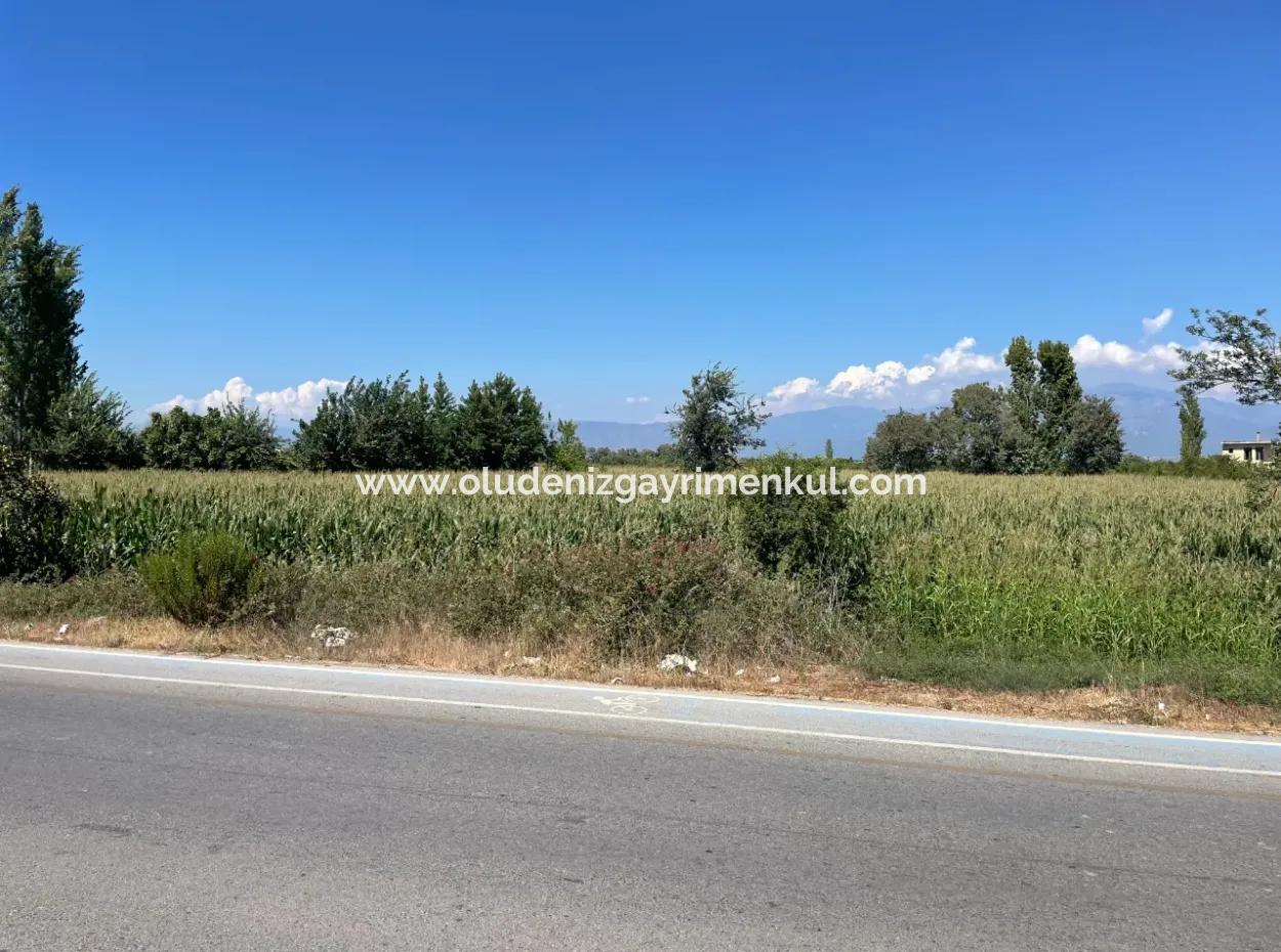 Dalyan Main Road Zero Land For Sale 8115M2 Commercial Land For Sale