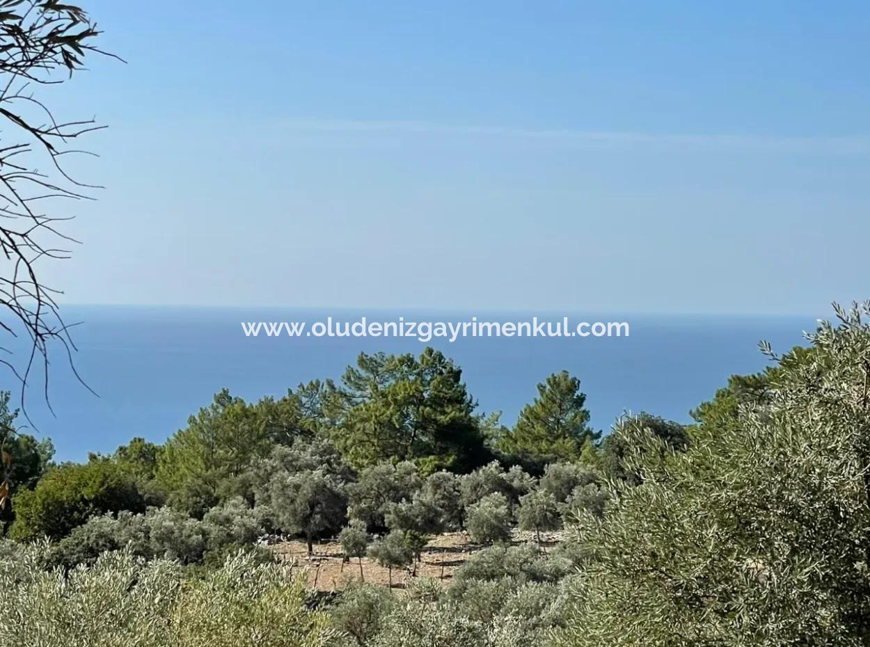 Land For Sale With Sea View Of Çandir