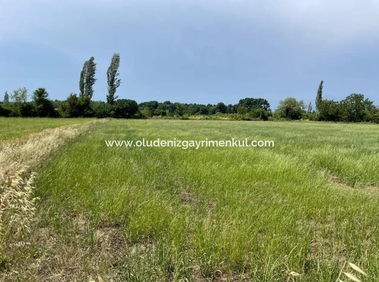 4595M2  Land For Sale In Okçular Marmarlı