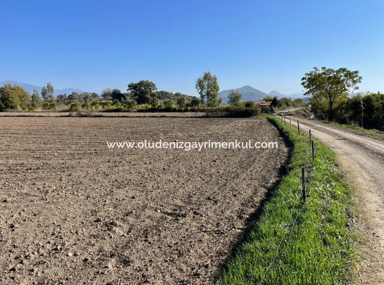 6254M2 Field For Sale Near Dalyan In Eskiköy