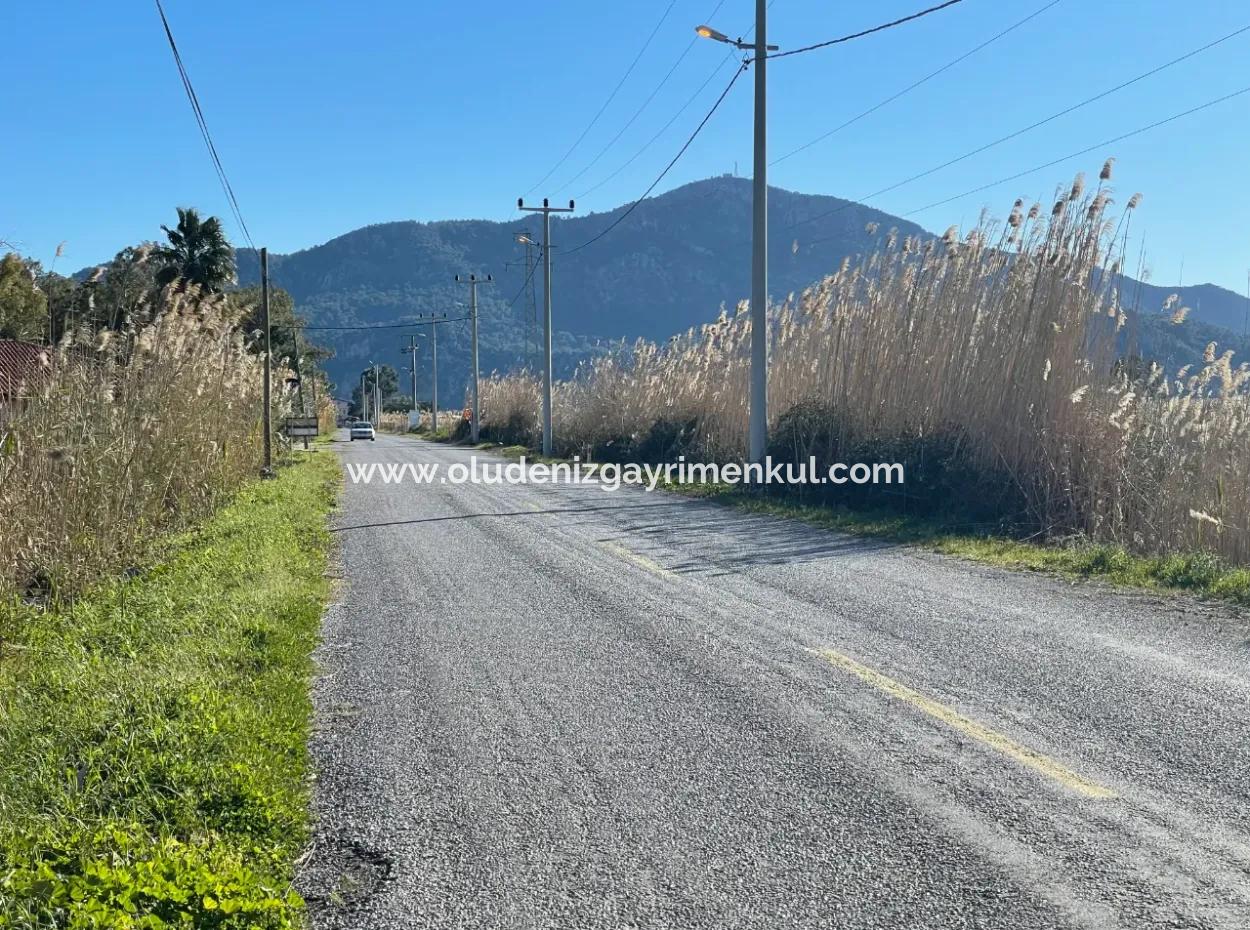 Dalyan Iztuzu Road Zero 5216M2 Field Plot For Sale