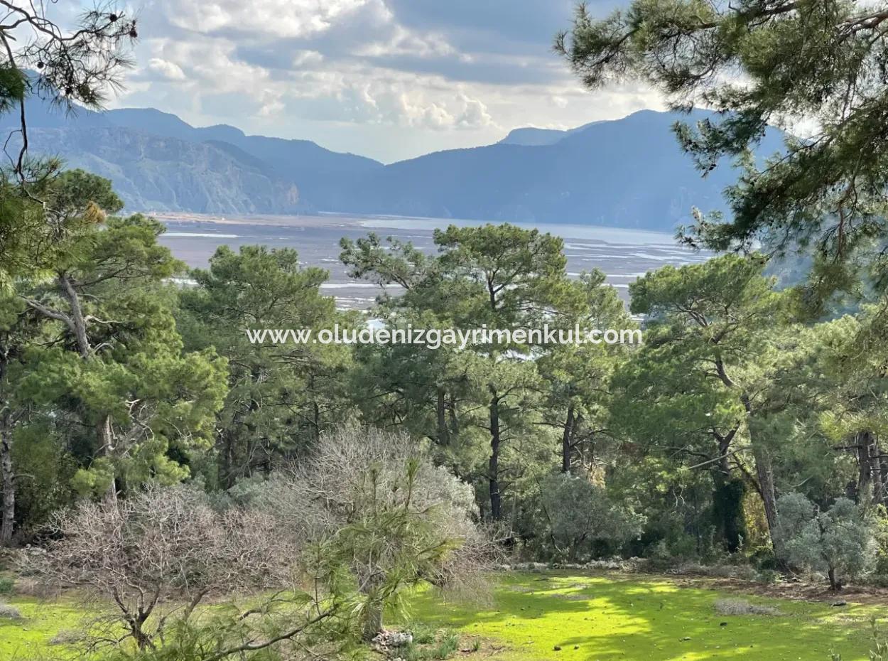 10,707M2 2B Field For Sale With Sea Lake View In Çandır