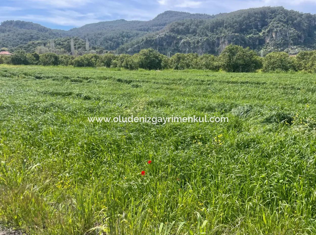 736M2 Land For Sale In Okçular