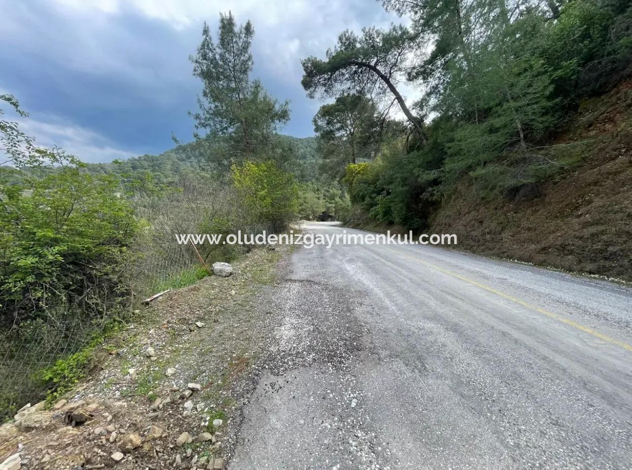 5000M2 Field For Sale At The Beginning Of The Road In Çandır