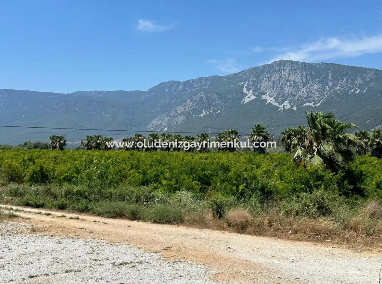 13,500M2 Roadfront Field For Sale In Akyaka Akçapınar