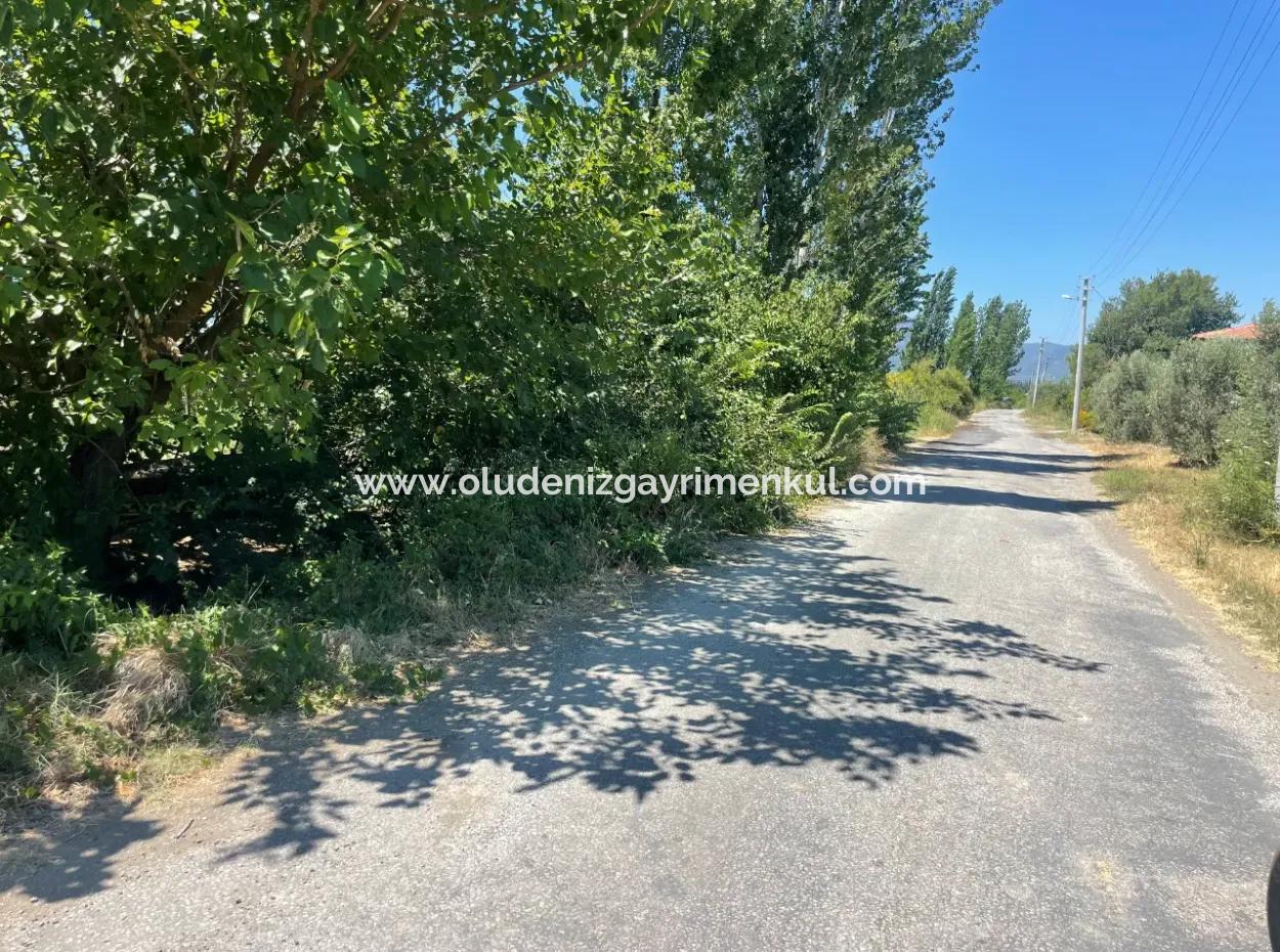 Road-New 6820M2 Pomegranate And Lemon Orchard Is For Sale In Tepearası