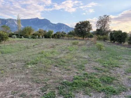 7,450M2 Land For Sale Close To The Center Of Dalyan