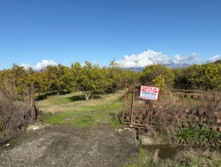 23,000M2 Detached Field Garden For Sale In Tepearasin,