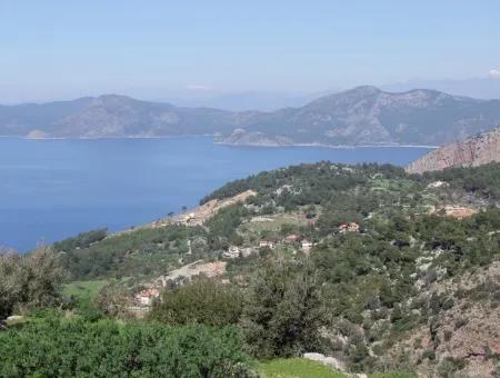 For Sale In Faralya Faralya With Sea View And 11,286M2 Land For Sale Tourism