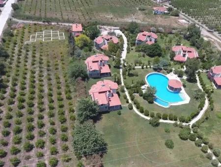 For Sale In Çandır Köyceğiz, Çandır 6000M2 Land For Sale