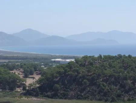 For Sale Land Also With Full Sea View For Sale In Sarigerme Land For Sale