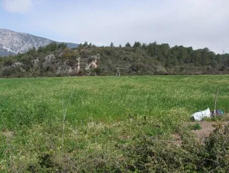 In Akyaka For Sale: Land For Sale Farm For Sale A Farm Near The Sea Of Ars, Yatirimlik 21625M2