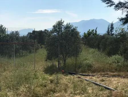 Land For Sale In Seydikemer Korubuku 76000M2