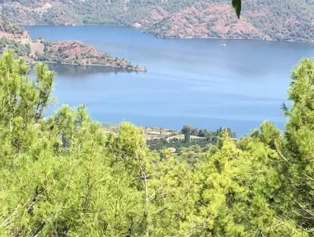 Land For Sale In Sultaniye 2285M2 Land For Sale Near The Lake