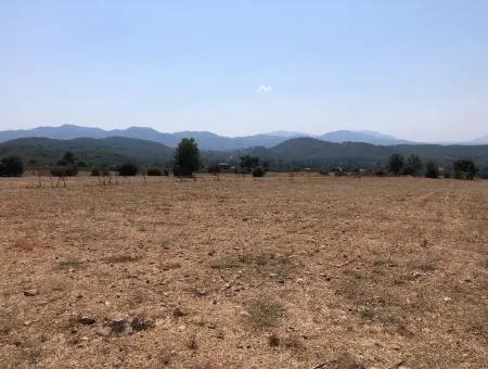 11.227M2 Land For Sale With Lake Views In Köyceğiz Zeytinalanı