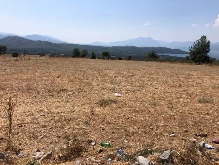 11.227M2 Land For Sale With Lake Views In Köyceğiz Zeytinalanı