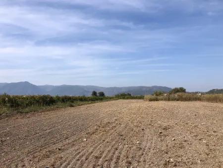 Land For Sale In Esköy 8500M2 Field Land For Sale