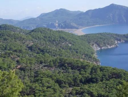 Real Estate Bargain Plot For Sale With Sea Views In Çandır Call In Ekincik