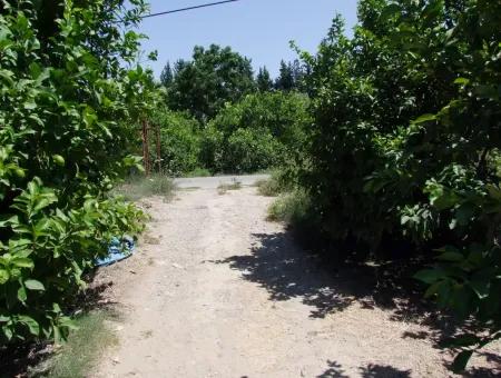 Land For Sale In Fevziyede 1197M2 Land For Sale