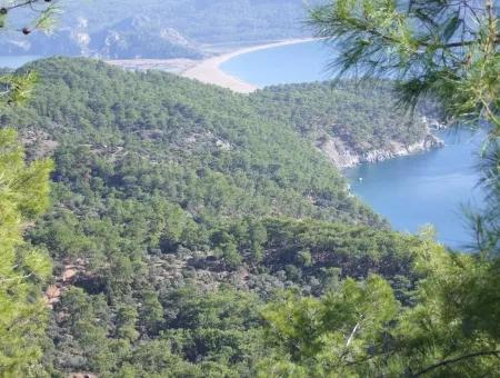 Real Estate Bargain Plot For Sale With Sea Views In Çandır Call In Ekincik