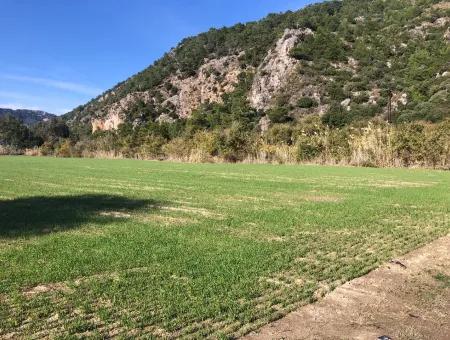 Land For Sale In Sarıgermede 30,000M2 Land For Sale With Sea View