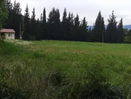 Land For Sale In Çamlida