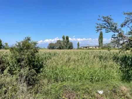 Dalyan Main Road Zero Land For Sale 8115M2 Commercial Land For Sale