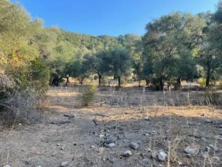 Çandir 3,800M2 Land For Sale