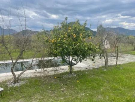 Dalyan Boutique Hotel For Sale Bungolevler For Sale In 11.000M2 Plot