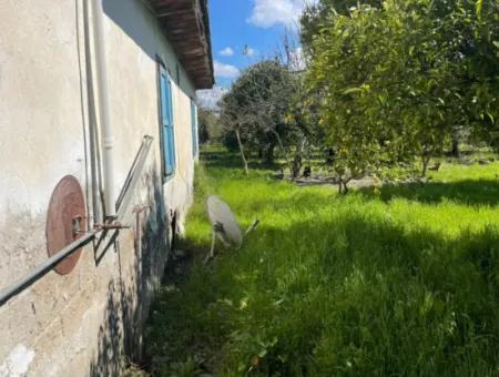 Village House For Sale In 1981M2 Plot In Sourliyurtda