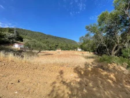 Land For Sale In Ula Armutchuk With 501M2 Zoning