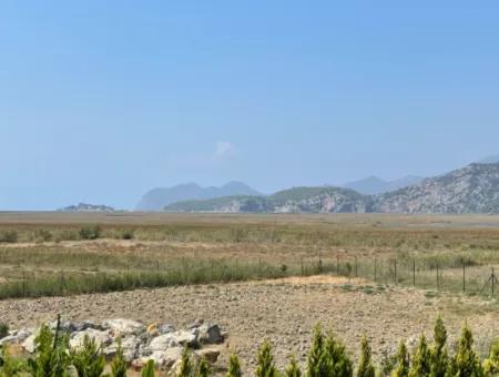 Dalyan 4 1 Luxury Villa For Sale In 7000M2 Land