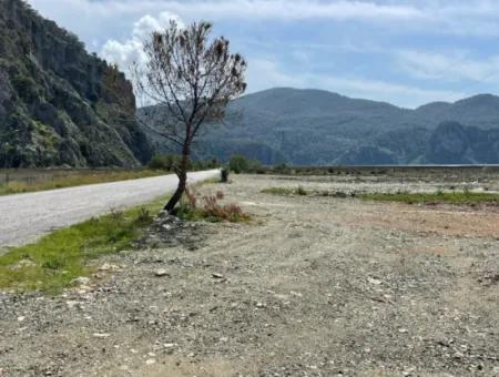 Dalyan Iztuzu Beach Road Zero 19,600M2 Field Land For Sale