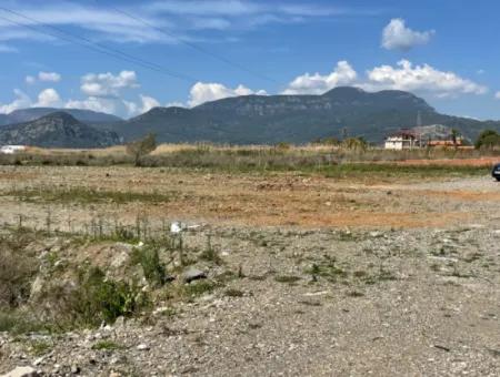 Dalyan Iztuzu Beach Road Zero 19,600M2 Field Land For Sale