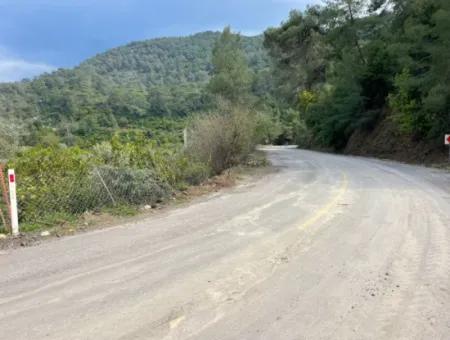 5000M2 Field For Sale At The Beginning Of The Road In Çandır