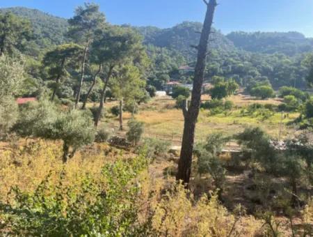 1,320M2 Field For Sale In Çandır Center By The Forest