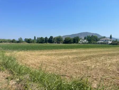 Land For Sale Of 2715M2 In The Built-Up Area Of The Village In Okçular