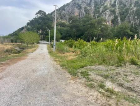 Field For Sale 6500M2 In Dalyan