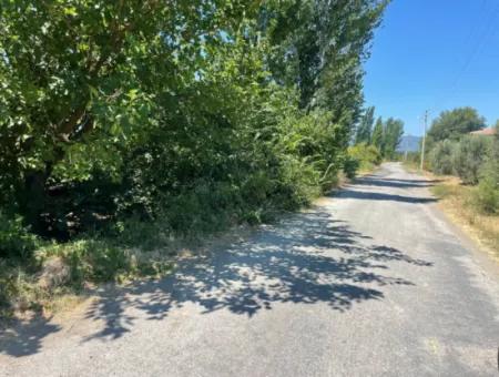 Road-New 6820M2 Pomegranate And Lemon Orchard Is For Sale In Tepearası