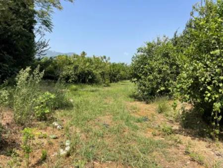 10.000M2 Land For Sale In The Village Built-Up Area In Okçular