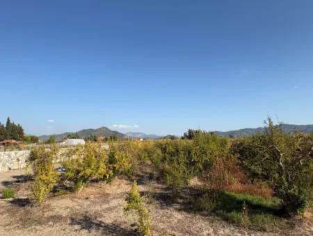 19.663M2 Farm Land And House For Sale In Eskiköy