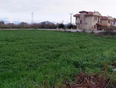 Dalyan Gülpınar Satılık Arsa Dalyan 1,002M2 Satılık Köşenası Satılık Arsa