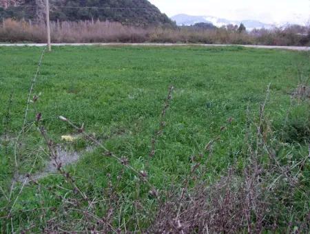 Dalyan Gülpınar Satılık Arsa Dalyan 1,002M2 Satılık Köşenası Satılık Arsa