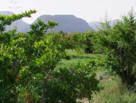 Dalyan İztuzu Satılık Bahçe Dalyan Göle Sıfır Satılık Arsa