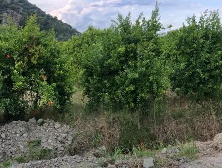 Dalyan Satılık Arsa Gülpınar 722M2 Satılık Arsa