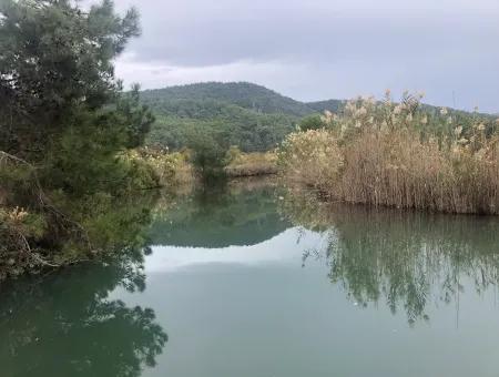 Çamlı Kanala Sıfır Satılık Arazi Arsa Çamlıda Deniz Manzaralı 28768M2 Satılık Arsa