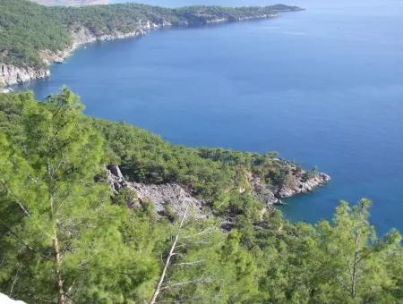 Ekincik Çandır Arasın'da Deniz Manzaralı Kelepir Emlak Satılık Arsa