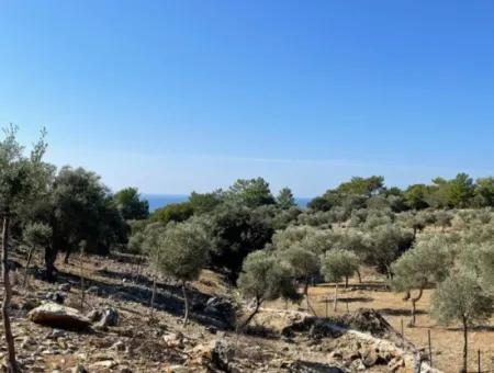 Çandır Deniz Manzaralı Satılık Tarla Arsa