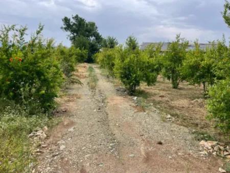 Dalyan''da Merkeze Yakın 2,528M2 Satılık Tarla